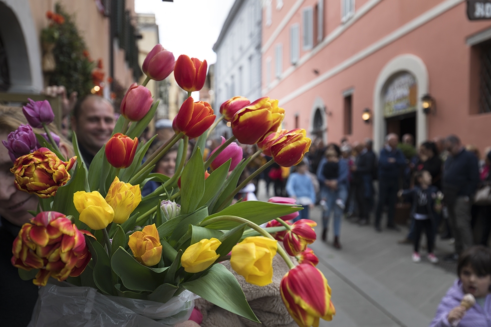 FESTA DEL TULIPANO A CASTIGLIONE DEL LAGO
