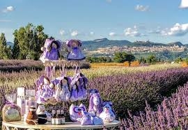 Umbria tra sapori e colori Cena nel Lavandeto di Assisi VIAGGI IN GIORNATA